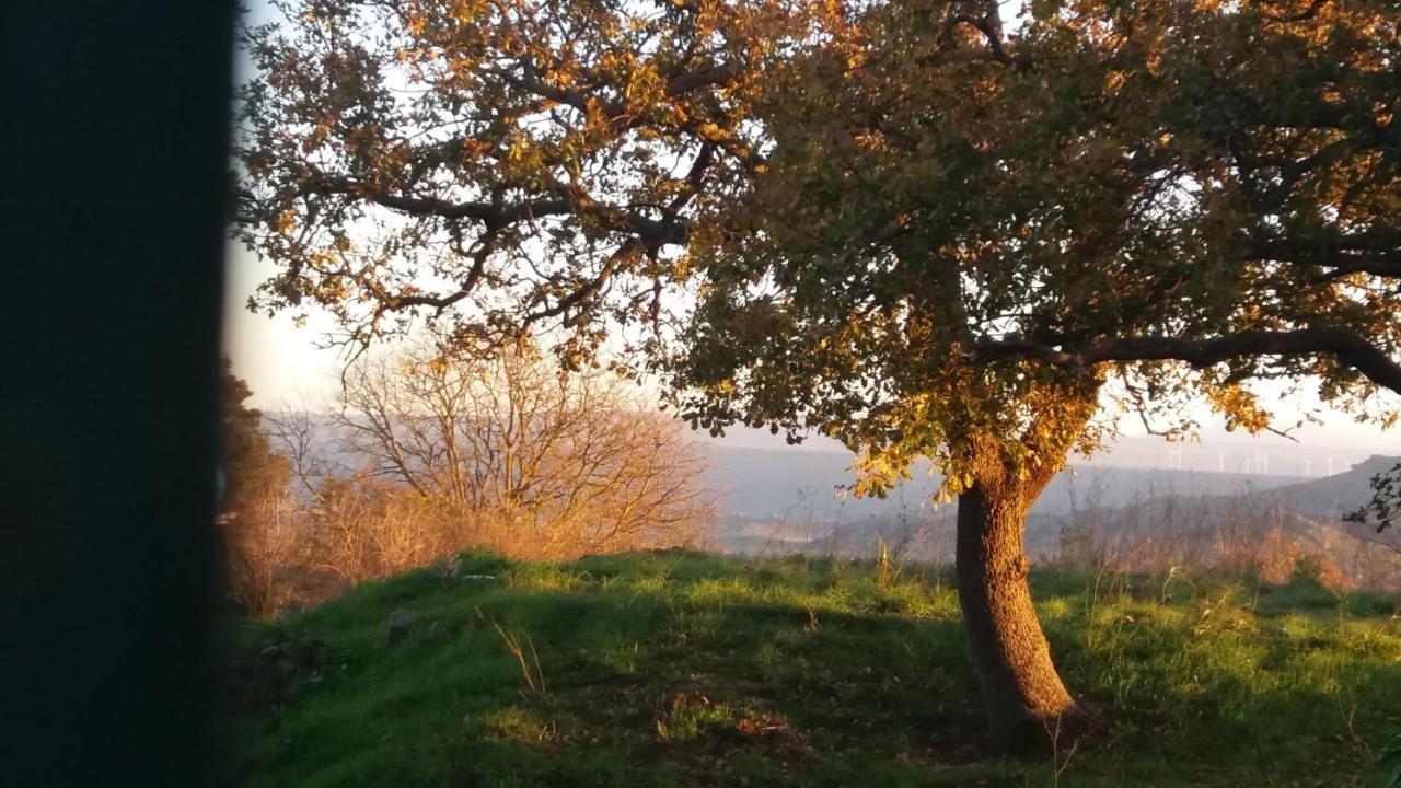 Su Montiju De Sa Falada Manna Cheremule Exteriér fotografie